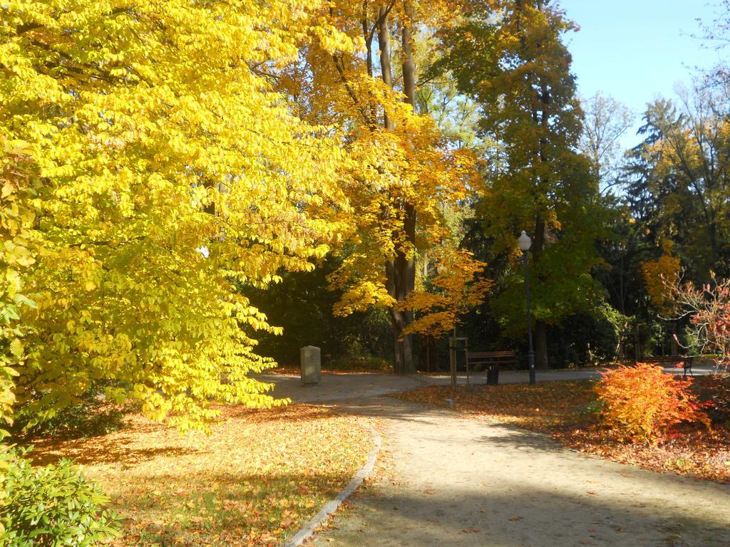 Villa Lessing Bad Altheide Exterior foto