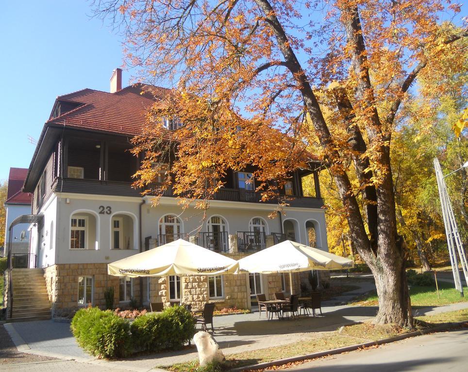 Villa Lessing Bad Altheide Exterior foto